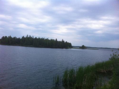 TEST IMAGE 