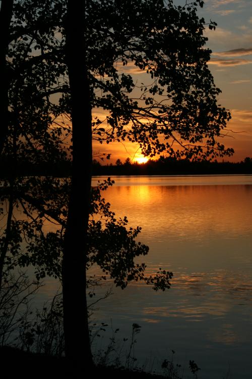Beautiful Sunset 